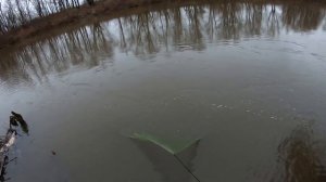Рыбалка кастинговой сетью накидкой.