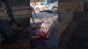 Разделка свиной туши.