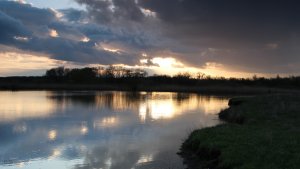 Танец рыб на закате. Песни жаб и круги на воде. Звуки природы, апрель