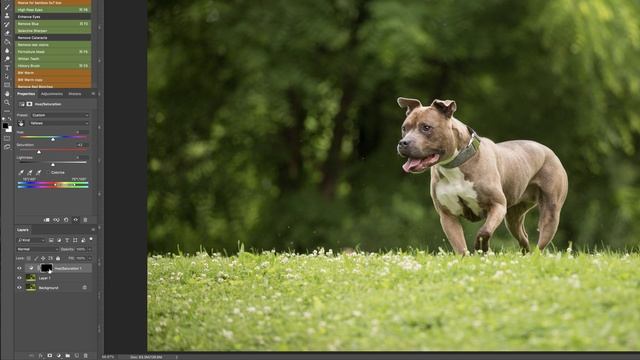 Remove White Fur Color Casts - Pet Photography смотреть онлайн