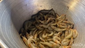 Цены в Шарм эль шейхе на морепродукты/ Рыбный рынок в Египте/ Старый город