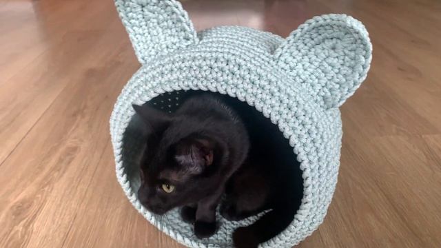 Корзинка для кота из трикотажной пряжи