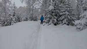 Фрирайд на Алтае Манжерок / Freeride in the Altai Manzherok