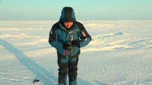 Окунь на БАЛАНСИР /ЗДЕСЬ ЛУЧШАЯ РЫБАЛКА на ВОЛГЕ!