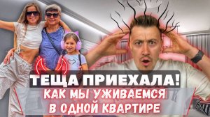 Теща приехала - как выстроить отношения с родителями?