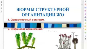 Биология: вводный курс - структурная организация. Часть 1.