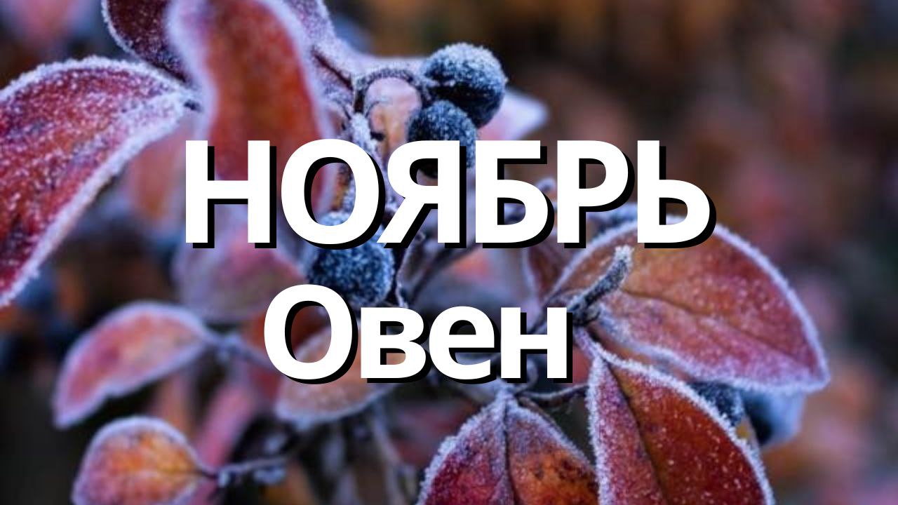 ОВЕН НОЯБРЬ 2023 Таро прогноз]