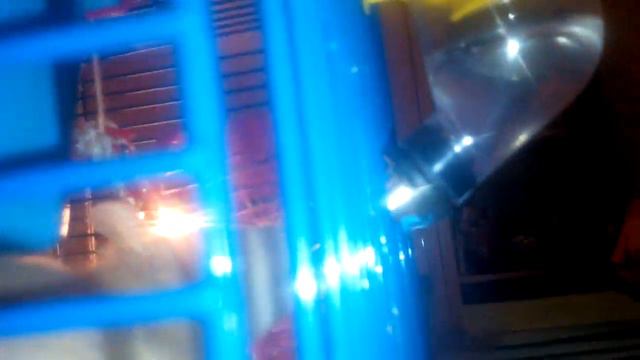 Крыс Ваниль играет кушает и пьёт пока Джессика спит смотреть онлайн