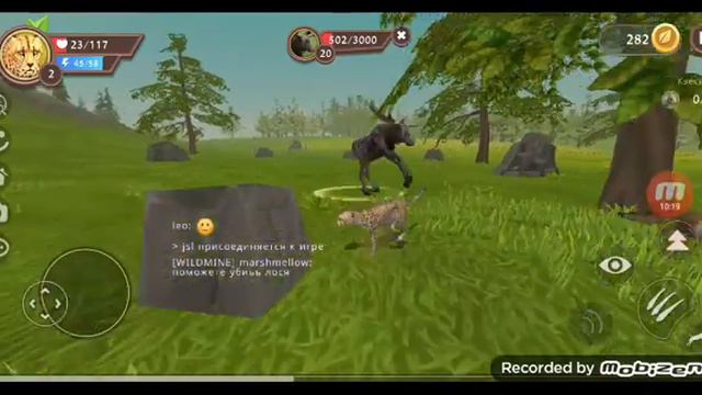 гипард новое животное 🐆 смотреть онлайн