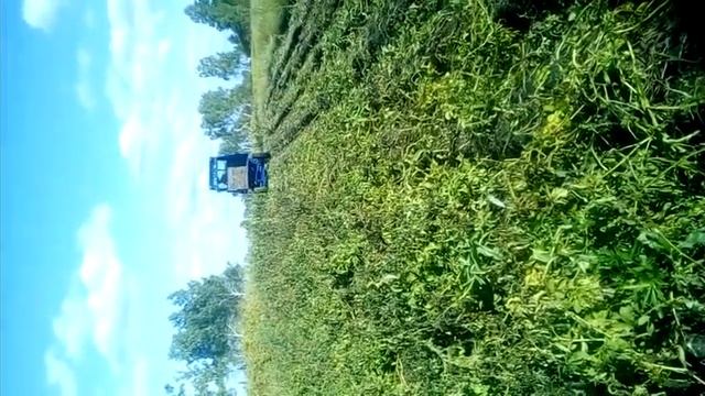 косилка ботвы на т16 смотреть онлайн