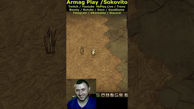 Кукла раздела и обокрала Амаранту в обмен на маску в Don't Starve Together Armag Play Shorts