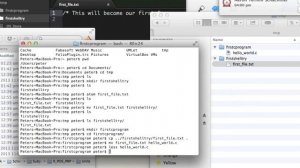 Procedural Programming Unit 02 Session 1: Introduction to the UNIX Shell