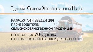 Налоги ИП. Как выбрать систему налогообложения: УСН, ОСНО, ЕСХН, ЕНВД, ПСН