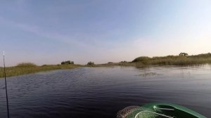 Рыбалка,щука в августе. Рыбинка. Рыбинское водохранище.,  р.Сутка..Fishing,pike,August