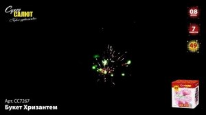 СС7267 Салют "Букет Хризантем"