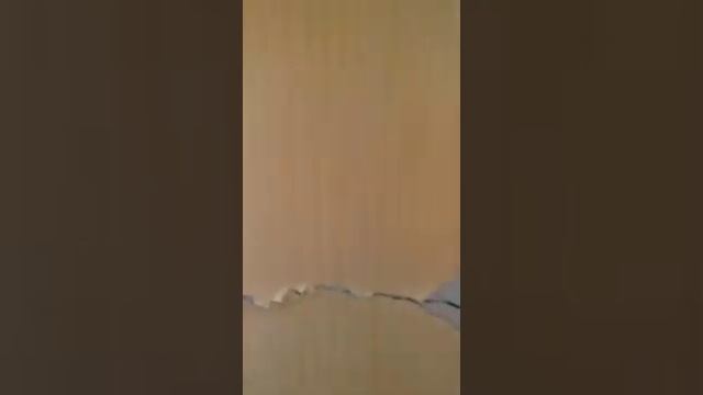 Квартиры сиротам в Чажето Томск смотреть онлайн