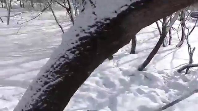 Металлический гараж 22 М. Кв.