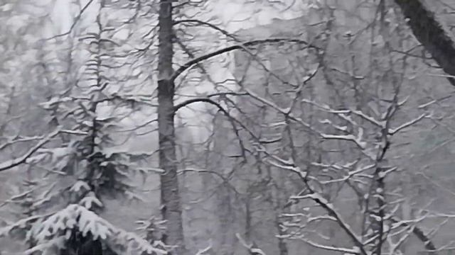 Сегодня воскресенье, идёт снег. смотреть онлайн