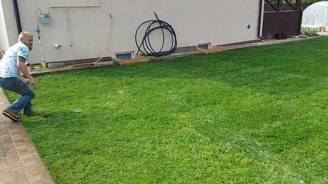 Автополив газона Рулонный газон смотреть онлайн