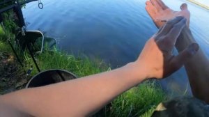 Жгу сети! часть 2