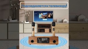 Караоке система Tuxun Artifact