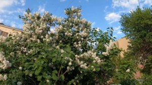 Самара-город-курорт, город контрастов#самара#vnature  Куда поехать этим летом? Где отдохнуть?