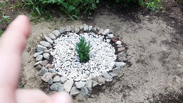 🙋 ВЛОГ/ПРОГУЛКА ПО УЛИЦАМ ГОРОДА👀ДАЧНЫЕ ДЕЛА🎂ТОРТ ДЛЯ МАМЫ💐ПИОНЫ/УТКИ🦢 #vlog#цветынадаче #