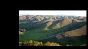 РАСТИТЕЛЬНОСТЬ И ЗАПОВЕДНЫЕ ЗОНЫ ОРЕНБУРГСКОЙ ОБЛАСТИ