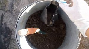 Как спасти клубнику от майского жука. Клубника в мешочках.