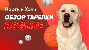 ФРИЗБИ ОТ DOGLIKE / ИГРУШКИ ДЛЯ СОБАК / ЛЕТАЮЩАЯ ТАРЕЛКА / ОБЗОР