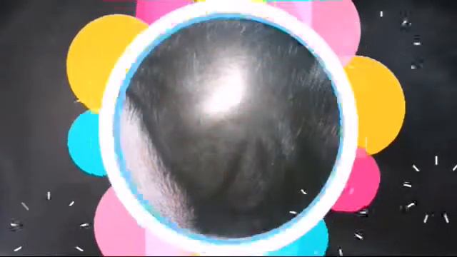 Клип про пулю (моя собака 🐶) и другие фран.бульд. смотреть онлайн