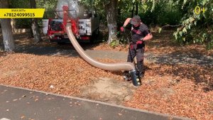 Пылесос для листьев Арпал ПЛ-400БД