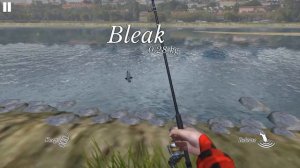Ultimate Fishing Simulator - Android Gameplay HD