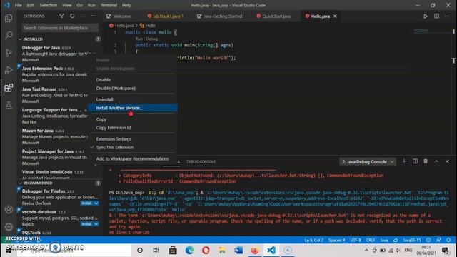 How to resolve the problem Java does not run in Visual Studio Code смотреть онлайн