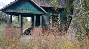 Заброшенный дом у дороги. Центральная Россия