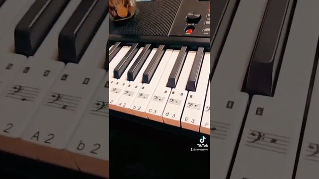 Наклейки на клавиши синтезатора смотреть онлайн