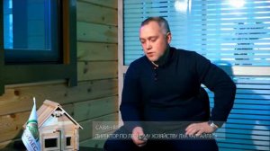 Лесовосстановление