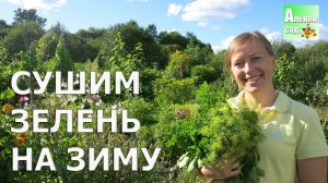 КАК Я СУШУ И ХРАНЮ ЗЕЛЕНЬ: ПЕТРУШКА, УКРОП, СЕЛЬДЕРЕЙ