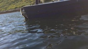 Морская рыбалка в Мурманске | Баренс | Ямал-31