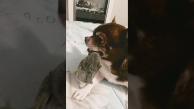 Веня играет ? смотреть онлайн