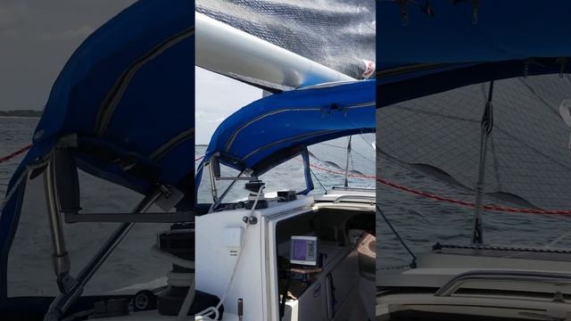 nice south wind sail on the f24-mk1 trimaran