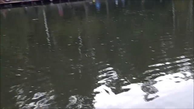 30.09, БОМБИЧЕСКИЙ КЛЁВ ФОРЕЛИ, СПОРТ ЗОНА смотреть онлайн