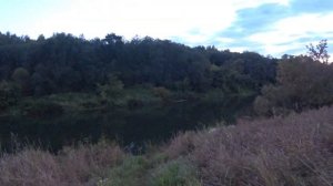 ОХОТА НА ДИКИХ КАРПОВ И САЗАНОВ . РЫБАЛКА В ДИКИХ МЕСТАХ.