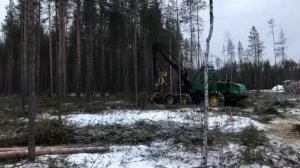 Работа харвестера John Deere 1270D