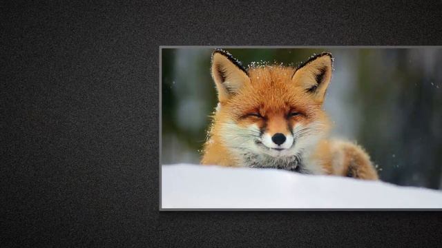 Top 5 Best Tv for PS5s in 2024 | The Ultimate Countdown, Reviews & Best Picks! смотреть онлайн