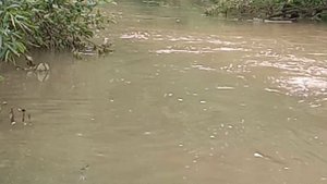 Рыбалка на реке! Ловля ельца!