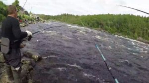 СУПЕР РЫБАЛКА НА ГОРБУШУ / SUPER FISHING FOR SALMON