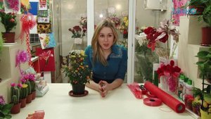 Авторская передача "Домашний сад". Тема: Уход за пасленом.