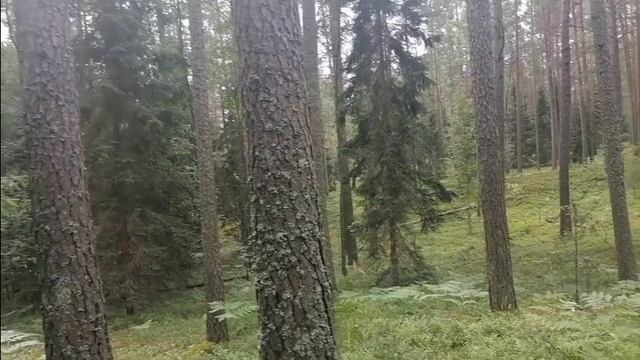 Ориентирование тема рельеф
