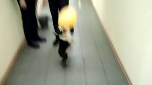 Он улетел... но обещал вернуться...